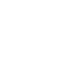 ce logo Dallas