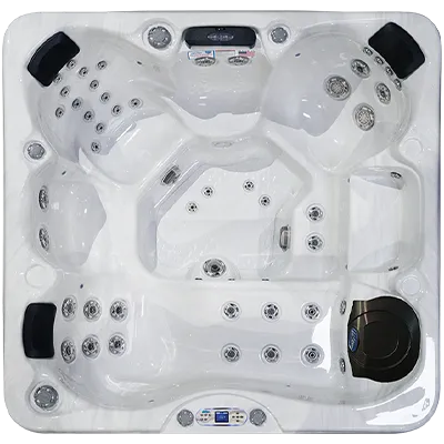 Avalon EC-849L hot tubs for sale in Dallas